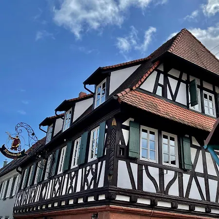 Bed & Breakfast Wanderers Neubau