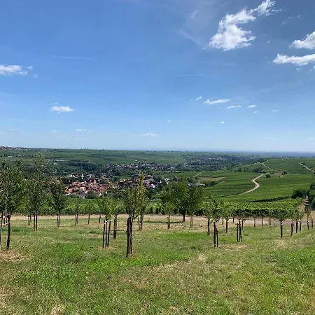 Bed & Breakfast Wanderers Neubau Birkweiler