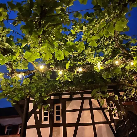 Bed & Breakfast Wanderers Neubau *