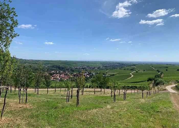 住宿加早餐酒店 Wanderers Neubau Birkweiler