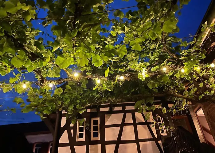 住宿加早餐酒店 Wanderers Neubau 3*